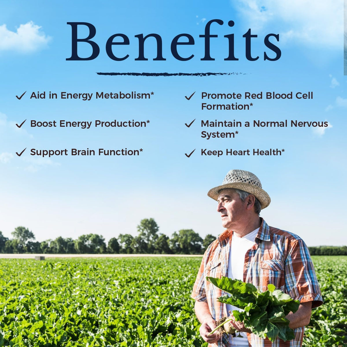 Vitalitown Vitamin B12 (Methyl B12) 5000 – Mood and Brain Function: By supporting neurotransmitter synthesis, B12 – Image 5
