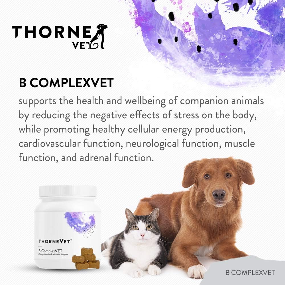 ThorneVET B ComplexVET – Vitamin B Complex Support for Dogs & Cats - 60 Soft Chews - görsel 2