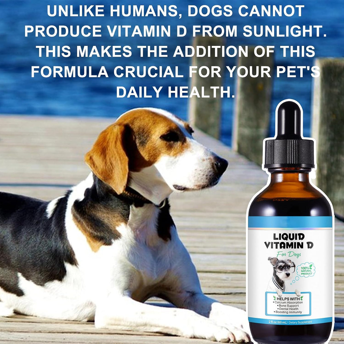 Vitamin D for Dogs, Liquid Vitamin D for – Supports Hip & Joint Health: By aiding calcium metabolism, vitamin D – Image 8