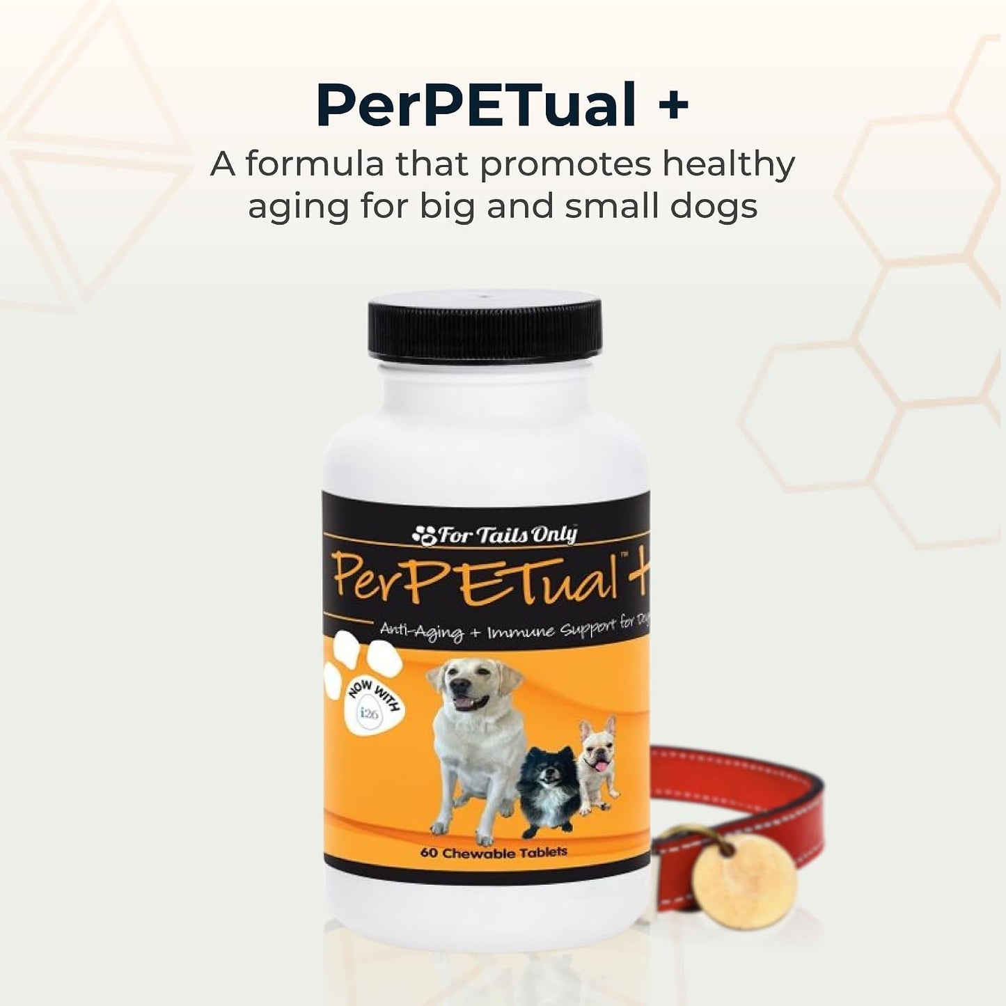 Youngevity Perpetual Plus Made-for-Pets Supplement, 60 Count - görsel 2