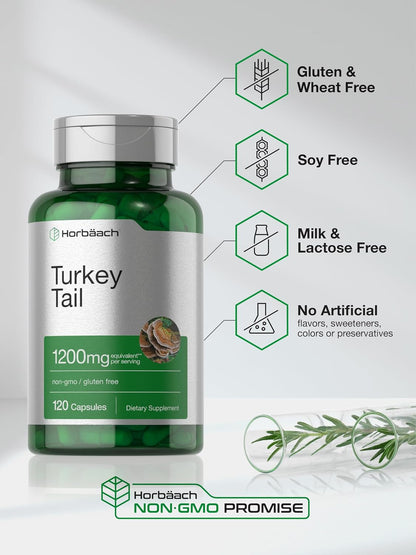 Horbäach Turkey Tail Mushroom Capsules | 120 Capsules | Non-GM and Gluten free Extract