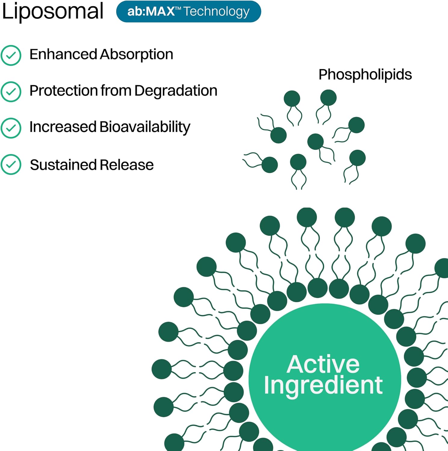 Haroutine Liposomal Vitamin D3 + K2 Gummies (Mixed Berry, 5000 IU D3 & 100 mcg K2 MK-7) - görsel 5