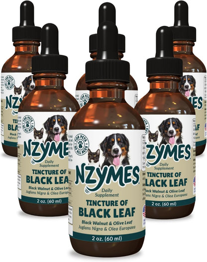 BlackLeaf Tincture for Pets - 3 Pack