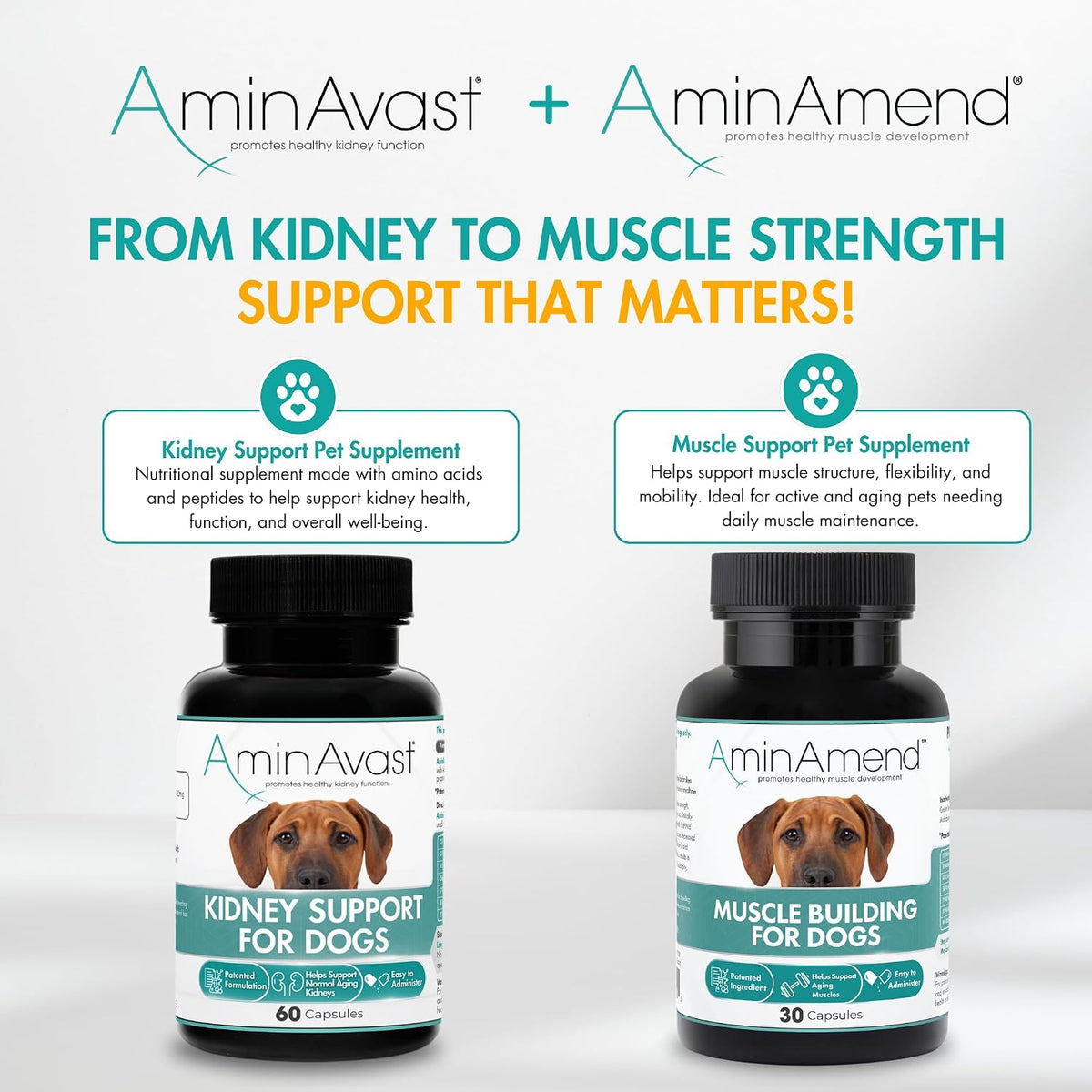 AminAmend Dog Muscle Supplement for Large Breeds – CaHMB & Vitamin D3 (30 Count) – Image 8