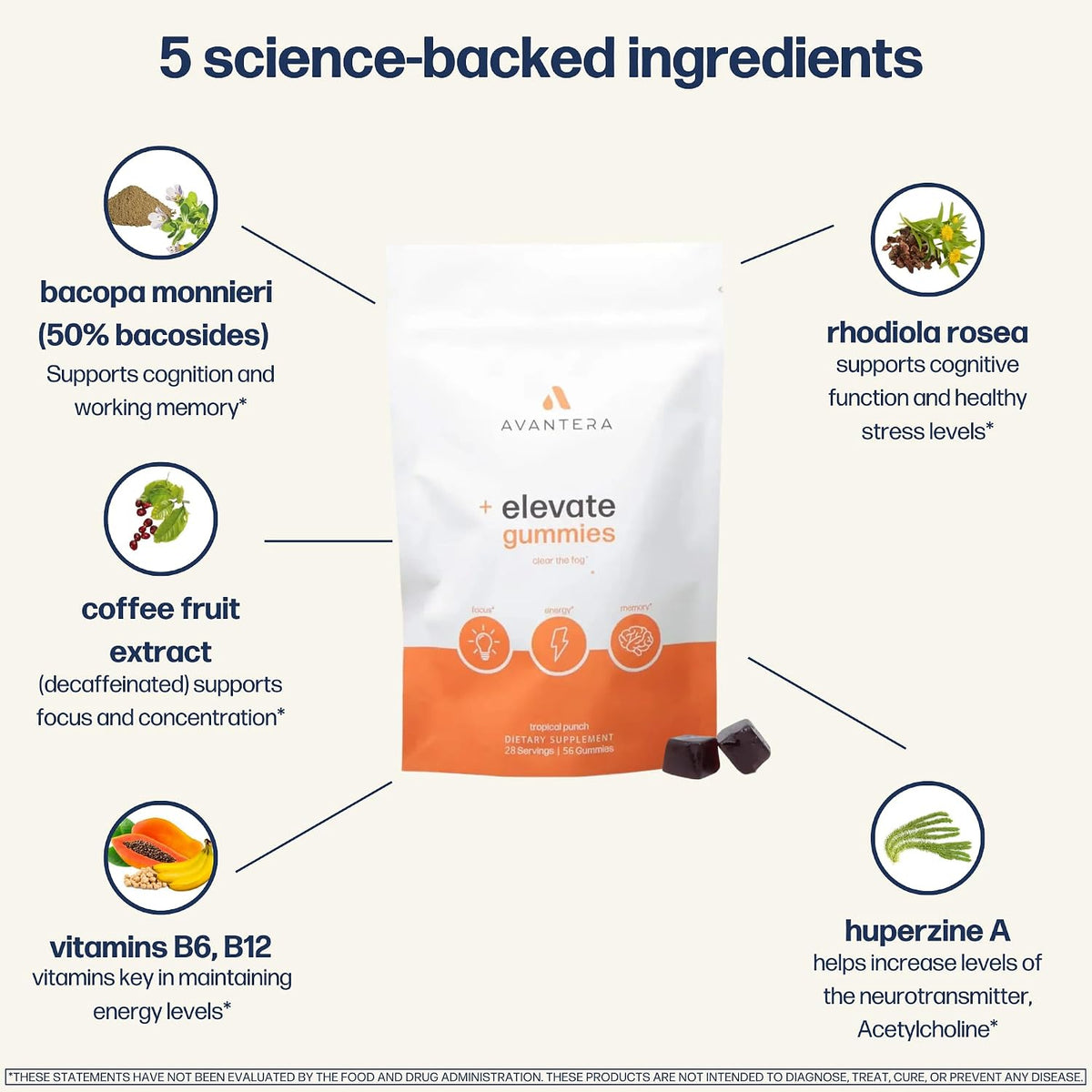 Avantera Elevate Gummies Premium Nootropic – Healthy Stress Response: Rhodiola Rosea is known for its ability to – Image 4
