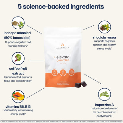 Avantera Elevate Gummies Premium Nootropic – Healthy Stress Response: Rhodiola Rosea is known for its ability to – Image 4