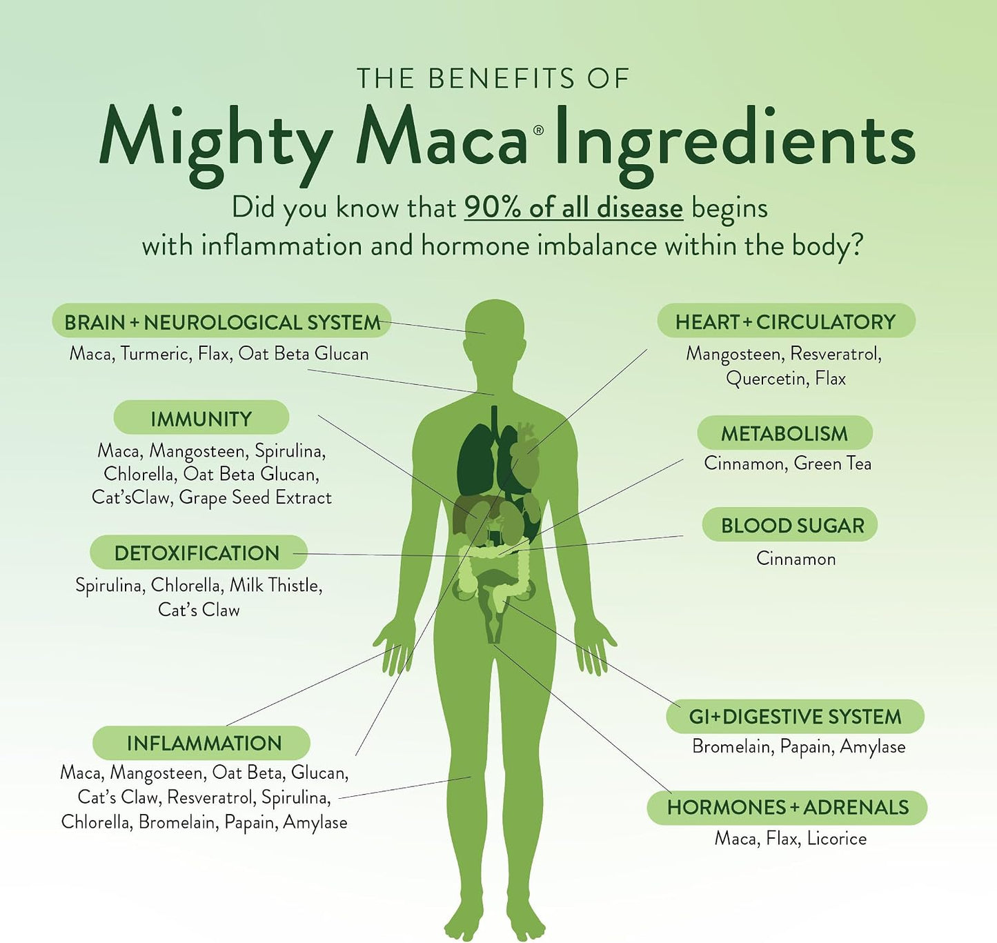 VIDAPURA Mighty Maca Plus by Dr. Anna Cabeca – Organic Superfood Greens Powder for Daily Energy & Vitality, Vegan & Alkalising, 60 Servings - görsel 3