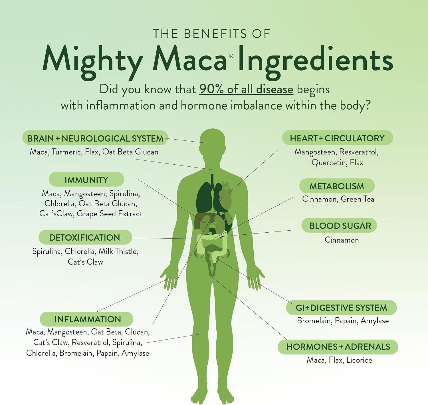 VIDAPURA Mighty Maca Plus by Dr. Anna Cabeca – Organic Superfood Greens Powder for Daily Energy & Vitality, Vegan & Alkalising, 60 Servings - görsel 3