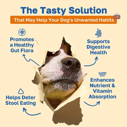 Happy Paws No Poo Chews for Dogs – Coprophagia Deterrent with Probiotics, Pumpkin & Enzymes – Beef Flavour, 200 Count – Image 2