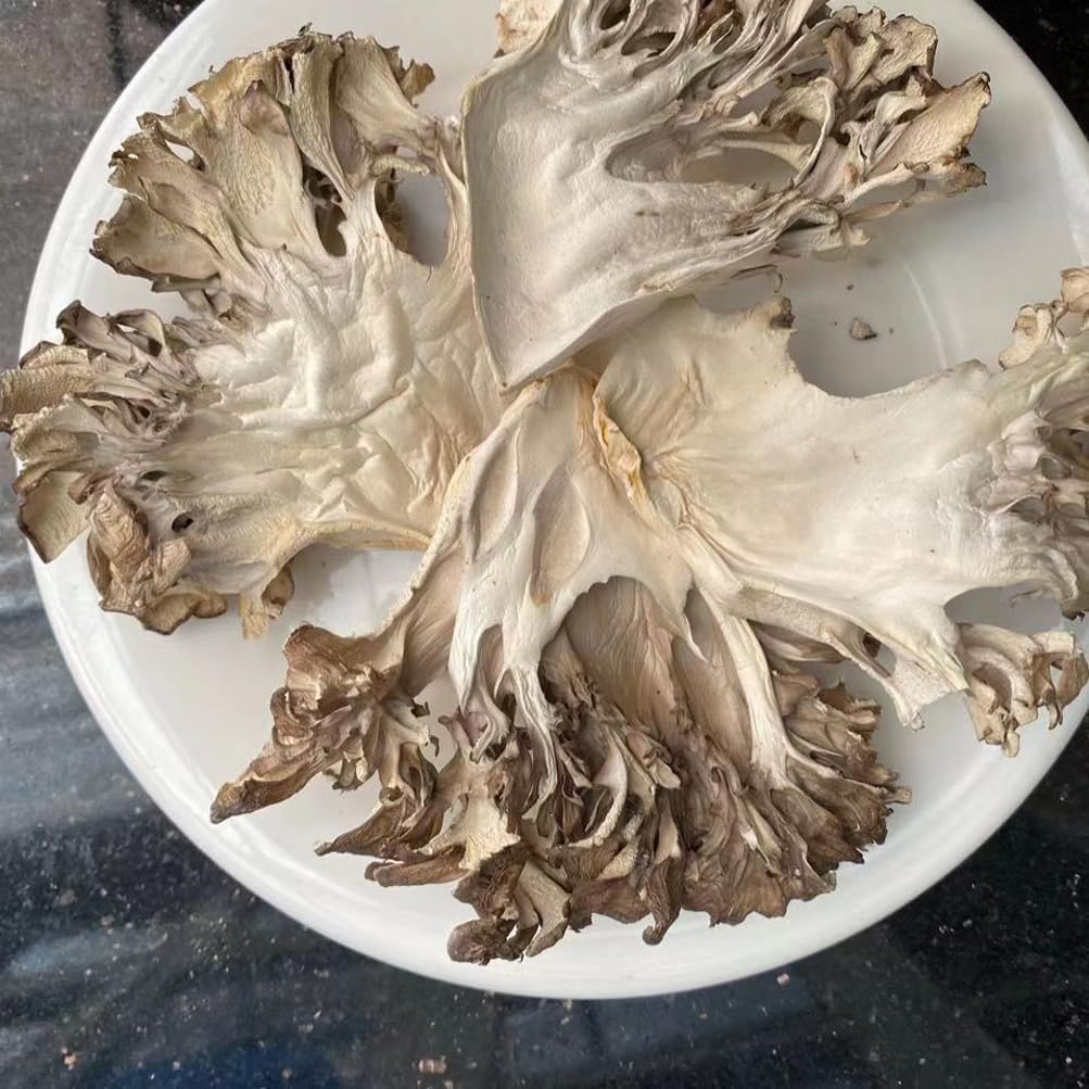 Maitake Mushroom Huishuhua (1000g) - görsel 7