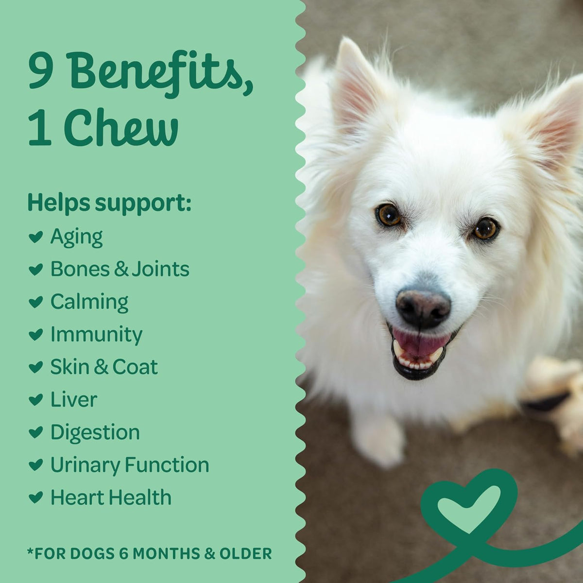 Wholesome Pride 9-in-1 Dog Multifunctional – Chamomile, Passion Flower & L-Theanine – A natural calming trio that – Image 2