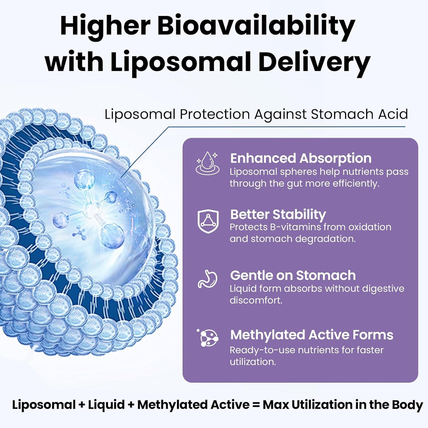 Liposomal Vitamin B Complex Liquid with Methylated B12, B1, B2, B3, B5, B6, Folate, Biotin - Energy & Immune Support, 240 mL - görsel 2