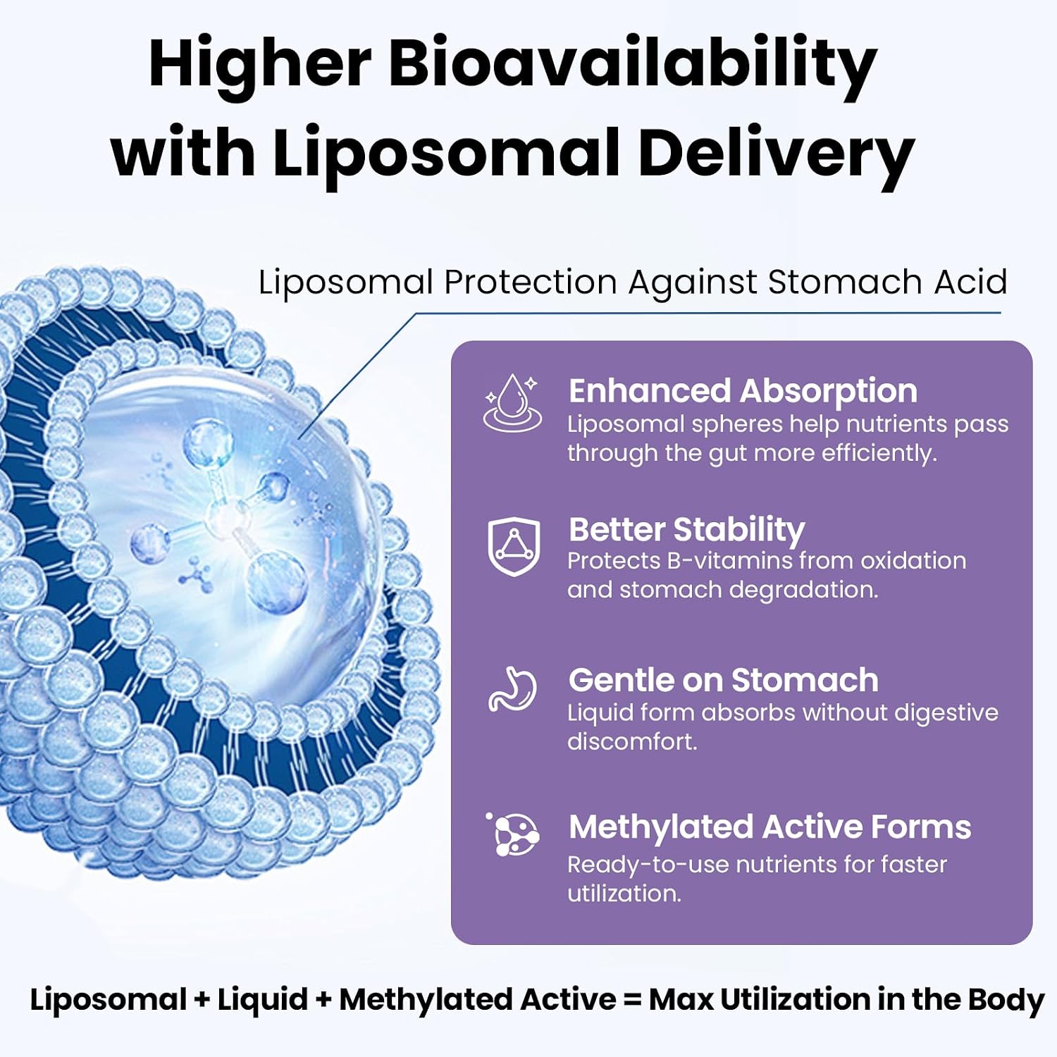 Liposomal Vitamin B Complex Liquid with Methylated B12, B1, B2, B3, B5, B6, Folate, Biotin - Energy & Immune Support, 240 mL - görsel 2