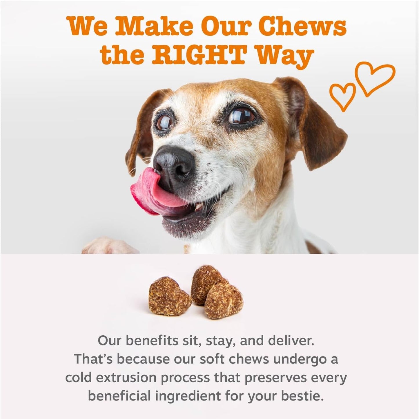 Zesty Paws Multifunctional Bites Dog Multivitamin, Chicken, 90 Chews - görsel 6