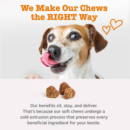 Zesty Paws Multifunctional Bites Dog Multivitamin, Chicken, 90 Chews