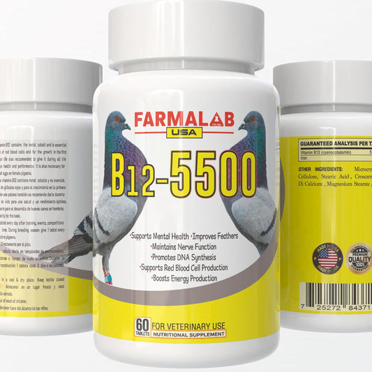 B12-5500 Para Palomas, Pigeon Vitamin – Racing pigeons: Intense training and competitions demand consistent B12 – Image 1