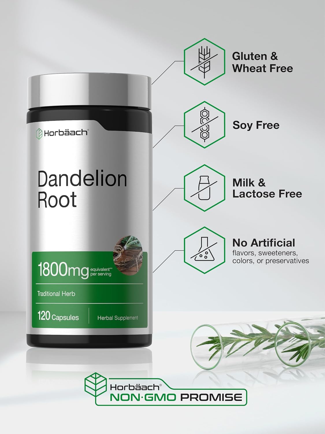 Horbäach Dandelion Root Supplement | 120 Capsules | Non-GM, Gluten Free – Image 5