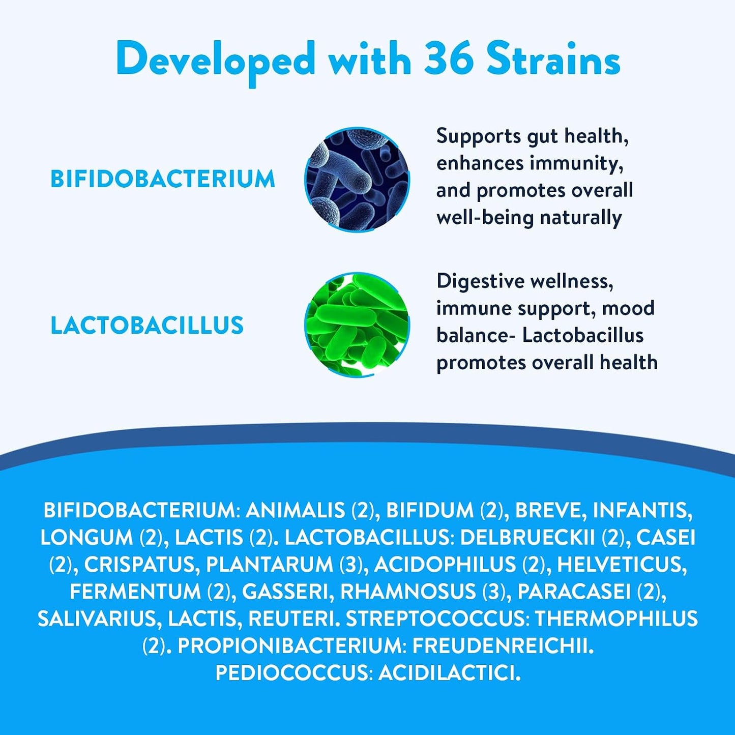 KefirLab Probiotics 100 Trillion CFU - 36 Strains - Vegan & Organic - Vanilla (16-Pack) - görsel 4