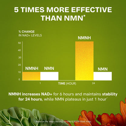 Liposomal NMNH Supplement 300mg – NAD+ – Those who prefer a non-stimulant energy support option – Image 8