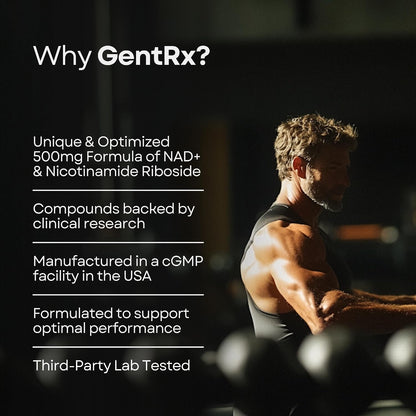 GentRx Third-Party Tested NAD+ & NR – Convenient One-a-Day Serving: Simple to incorporate into your daily routine. – Image 7
