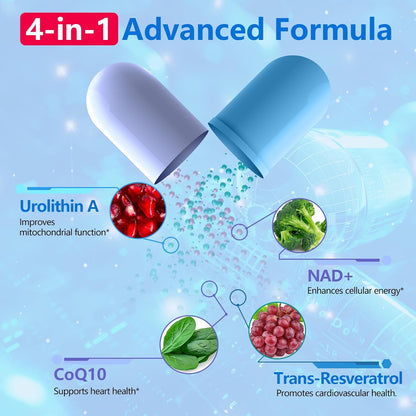 inGreens Urolithin A 1000mg with NAD+ 300mg, – Form: Capsules are convenient and stable. This 5-pack offers value – Image 7