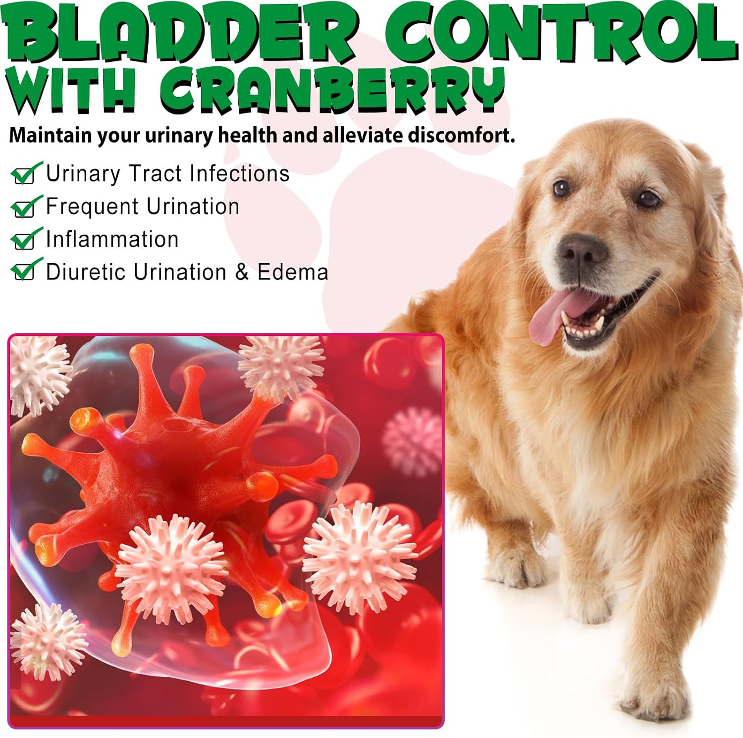 Urinary Tract Supplement for Dogs with Cranberry - 60 ml - görsel 9