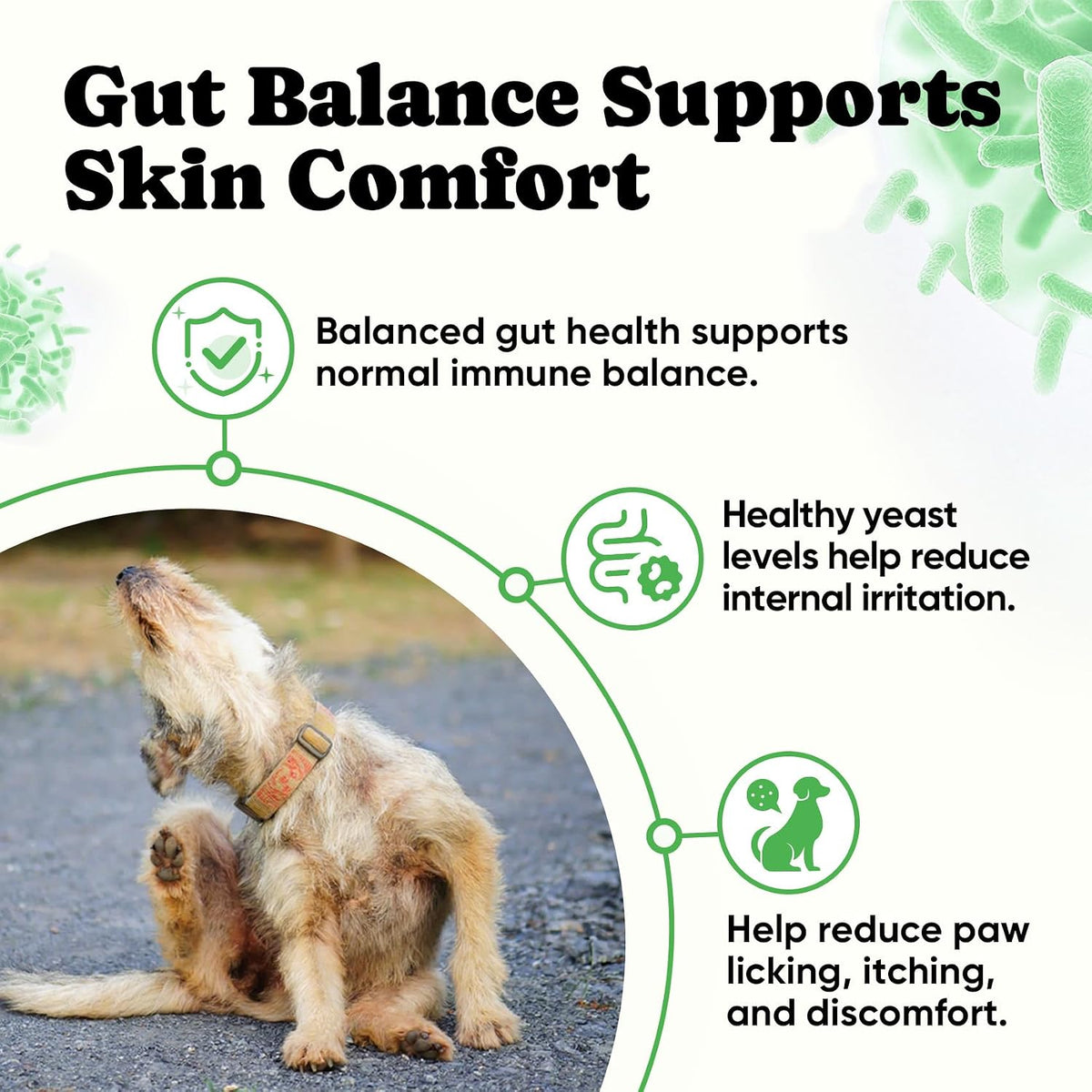 BuddyCheer Probiotics for Dogs - Supports Digestion, Skin and Breath - 180 Soft Chews – Image 4