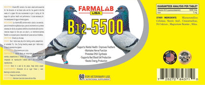 B12-5500 Para Palomas, Pigeon Vitamin – Pigeons with feather issues: Contributes to stronger, glossier feathers. – Image 3