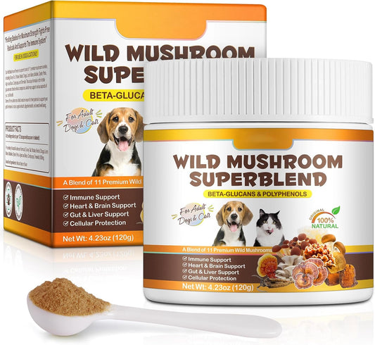 Mushroom Supplement Powder for Dogs & Cats - – Immune Support: The beta-glucans in mushrooms may help support a – Image 1