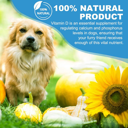 Vitamin D for Dogs, Liquid Vitamin D for – Promotes Dental Health: Strong teeth depend on proper mineralisation, – Image 4