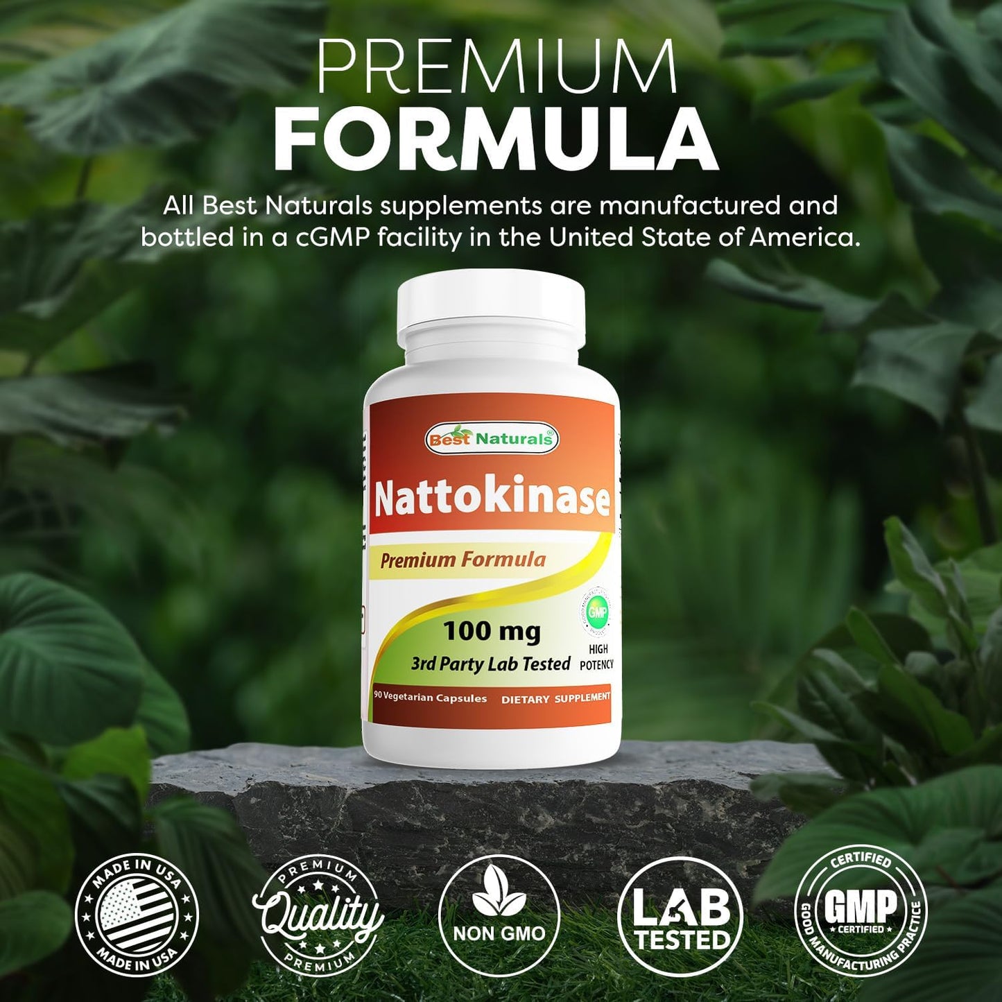 Best Naturals Nattokinase 2000 FU, 100 mg, 90 Vegetarian Capsules - görsel 5