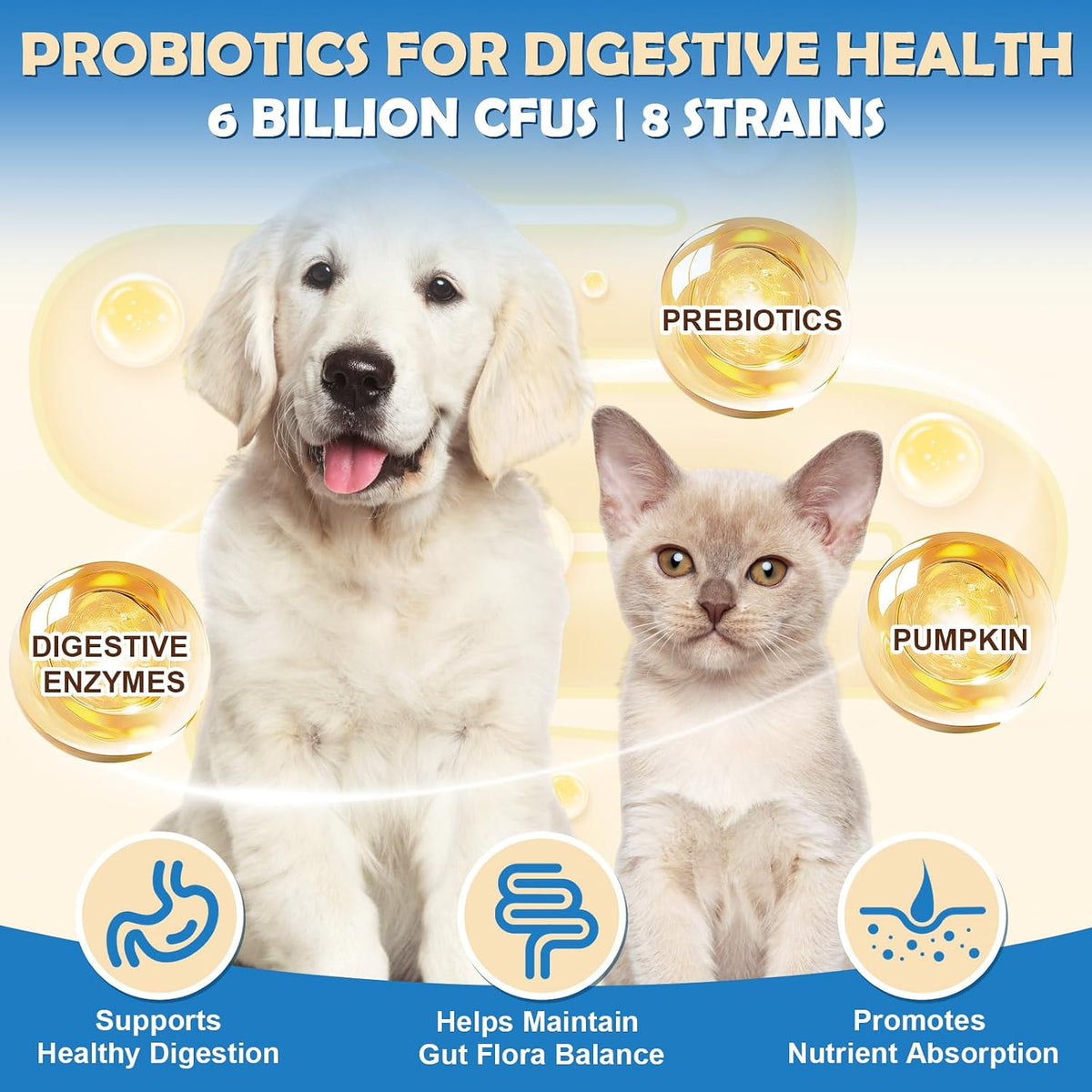 ZEBORA Probiotics for Dogs - Probiotic Powder with Pumpkin, Prebiotics & Enzymes, 6 Billion CFUs, Chicken Flavour (90 Scoops) – Image 2