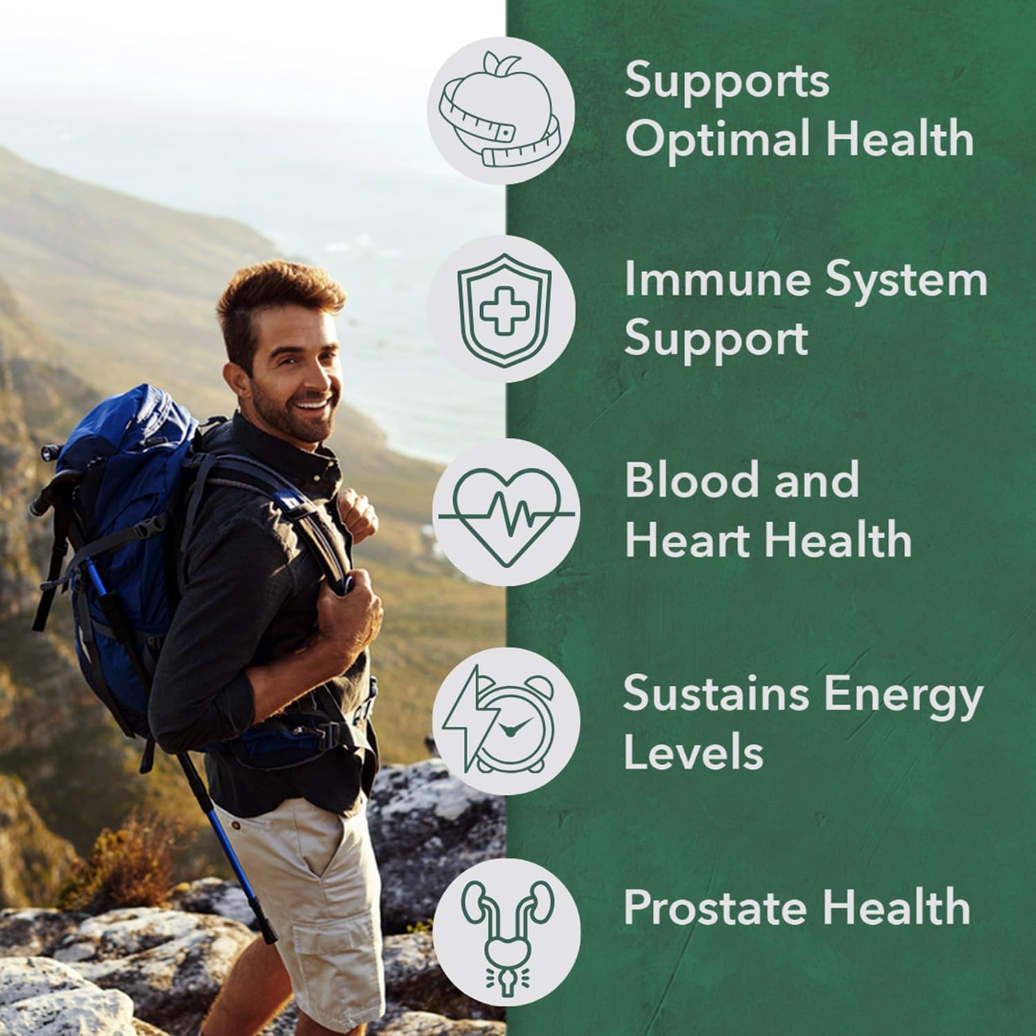 PlantFusion Organic Multivitamin for Men – Once Daily Wholefood Blend – Vegan, Non-GM, Gluten & Dairy-free – 30 Tablets - görsel 2