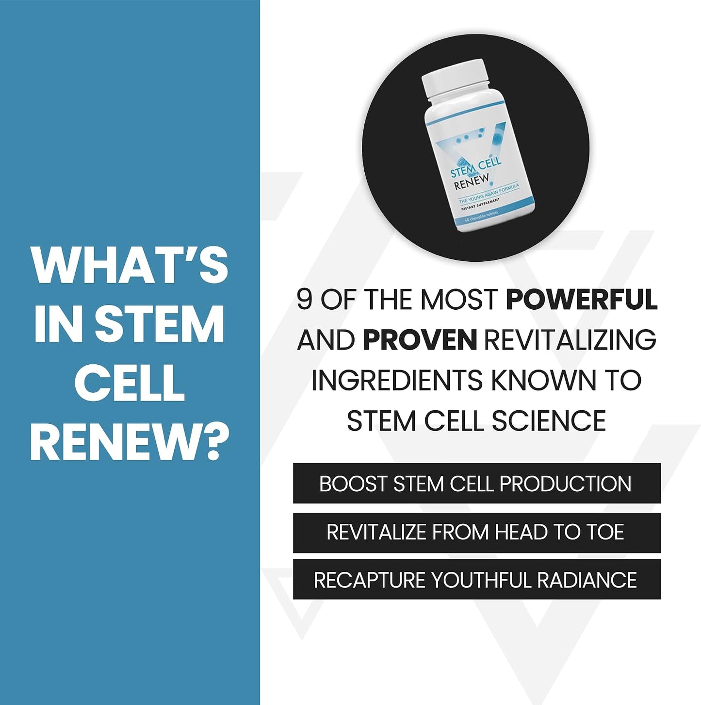 Stem Cell Renew - Support Your Natural Stem Cells (60 Capsules) - görsel 3