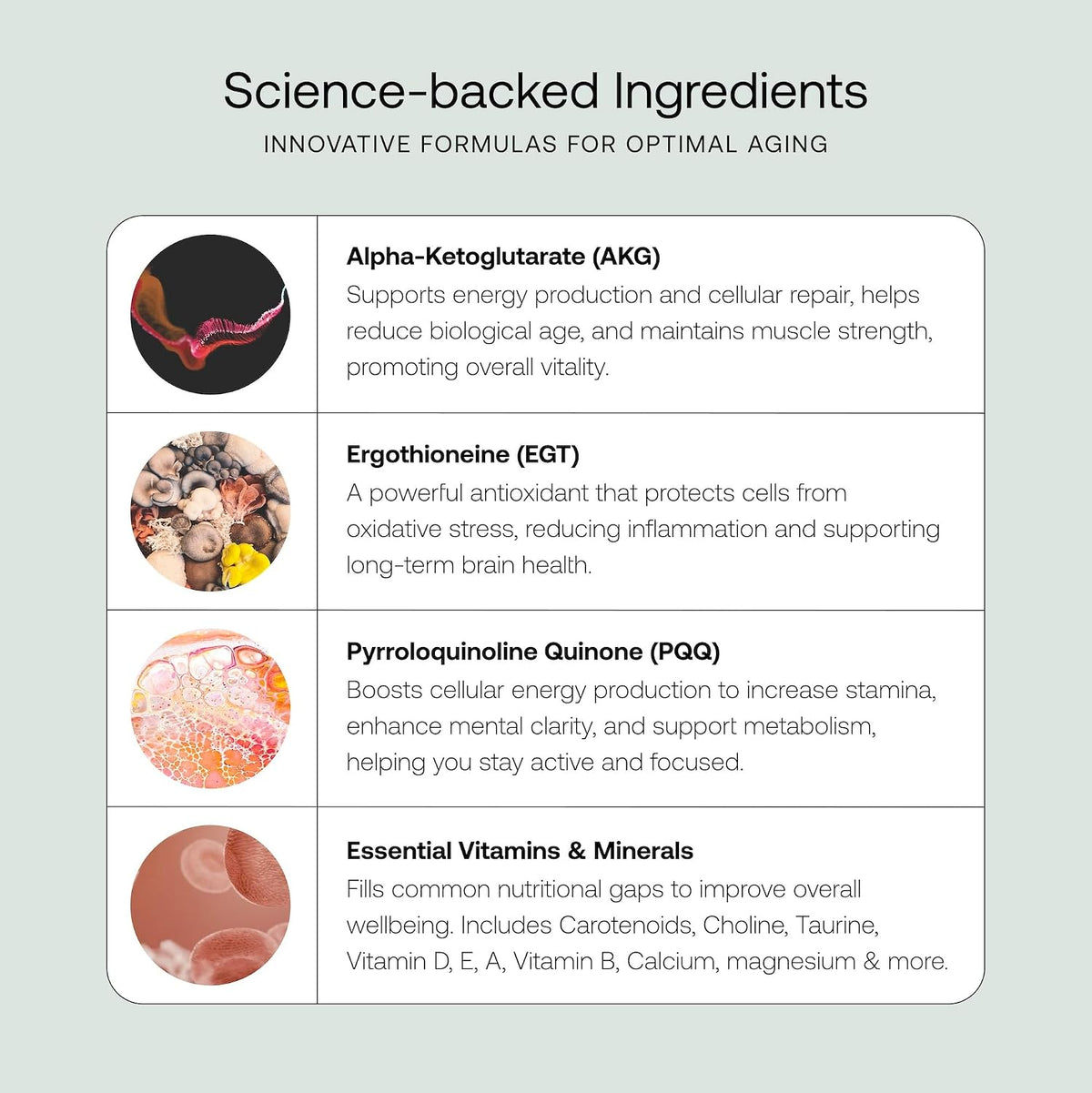 SRW Cel Essential | Wellbeing Supplement for – Maintains Muscle Mass: Alpha-ketoglutarate aids protein synthesis – Image 6