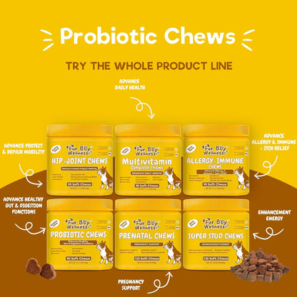 Vet Strength Probiotics for Dogs - Fast – Shelf Stability: No refrigeration needed—convenient for travel and daily – Image 8