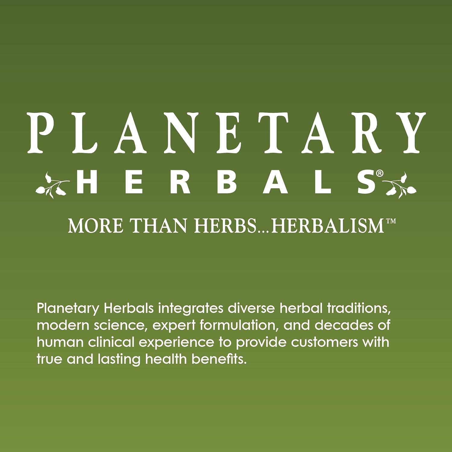 Planetary Herbals Immune Protect Liquid for Kids, 60 ml - görsel 3