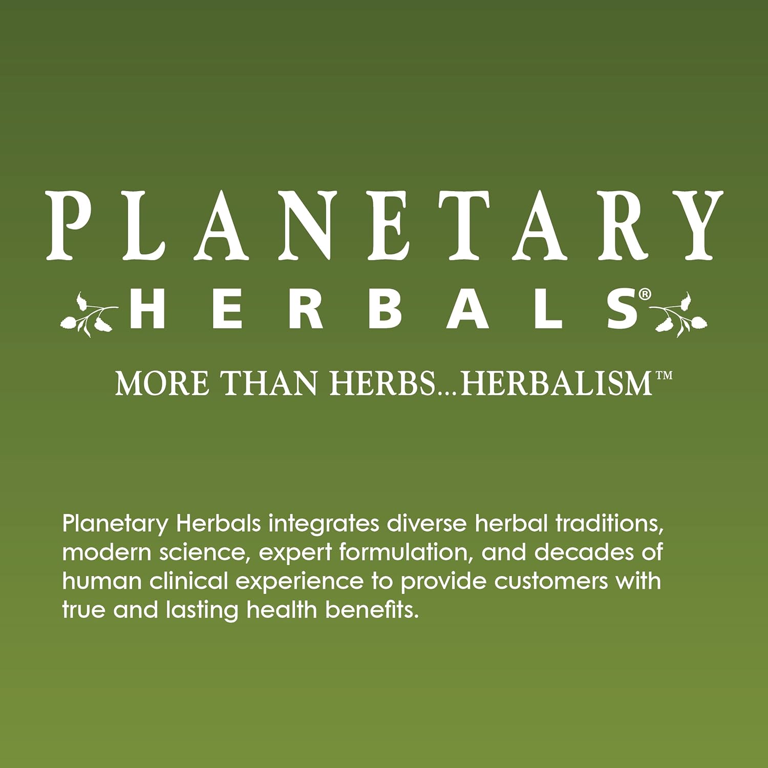 Planetary Herbals Full Spectrum Horse Chestnut, 500 mg - 120 Tablets - görsel 5