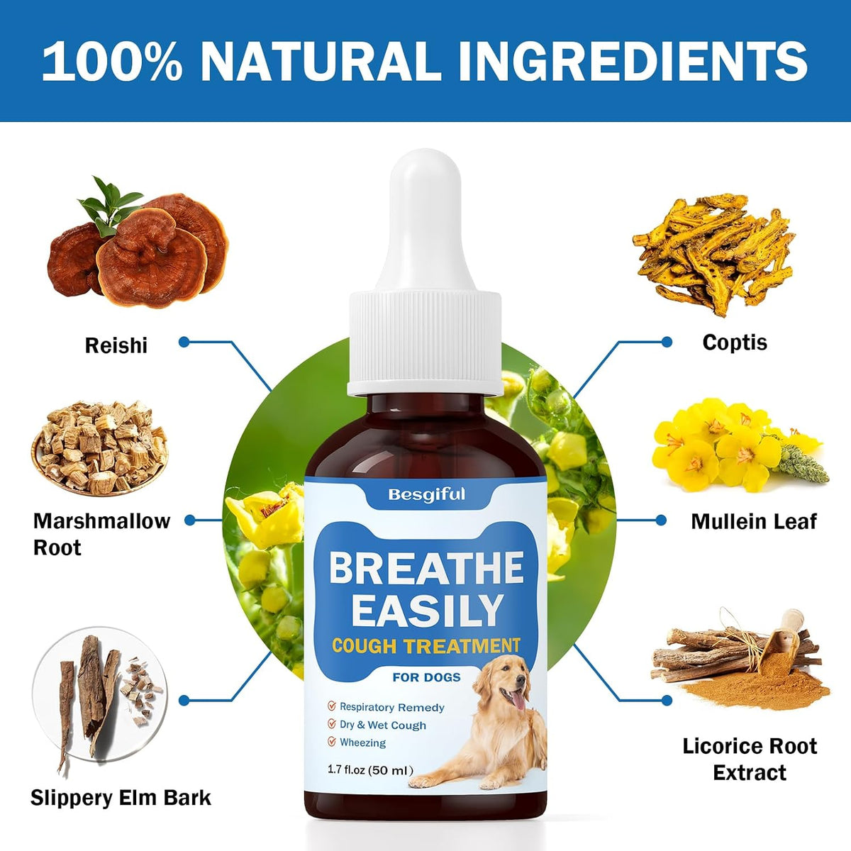 Besgiful Natural Herbal Trachea Support for – Promotes Easier Breathing: By supporting the natural function of the – Image 3
