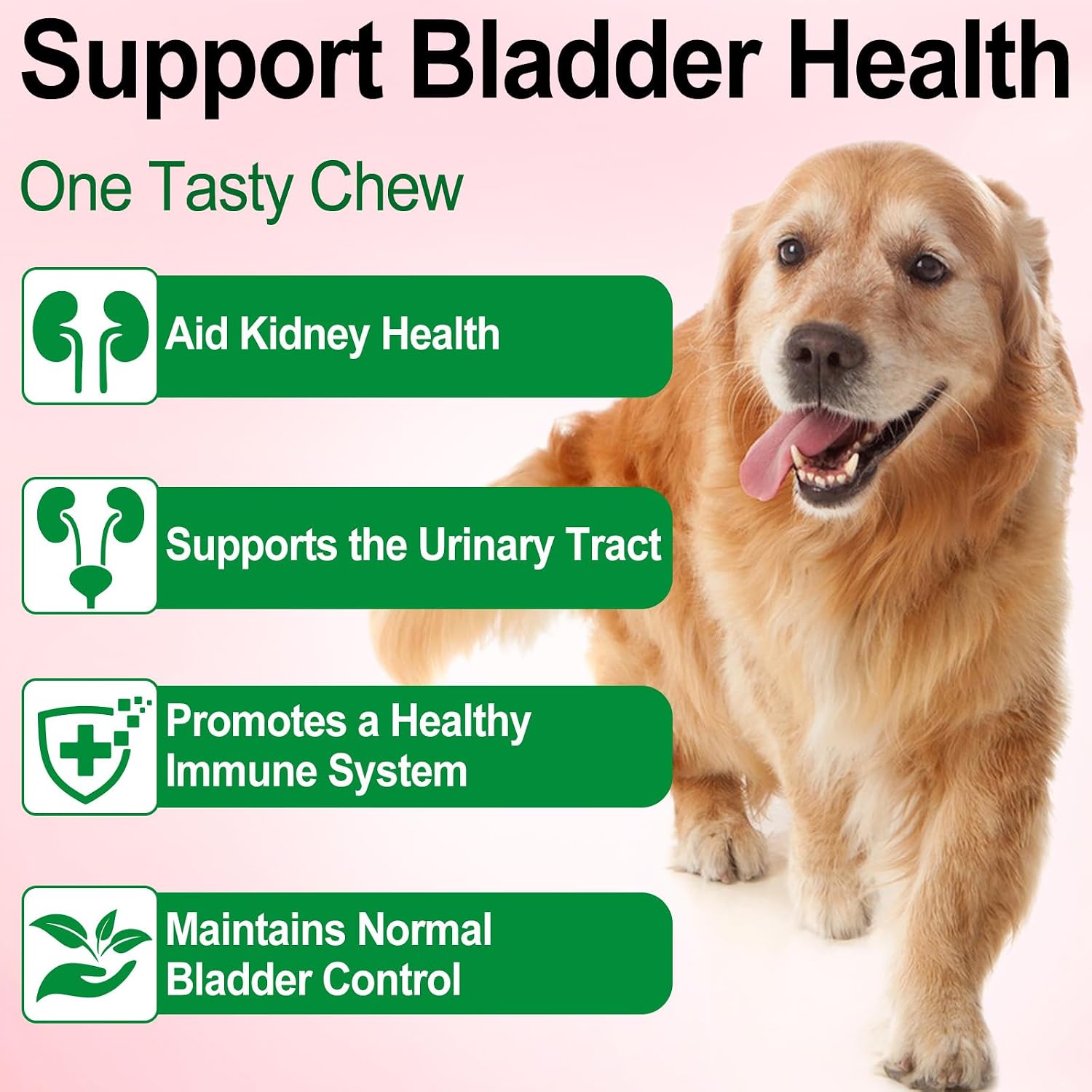 Urinary Tract Supplement for Dogs with Cranberry - 60 ml - görsel 6