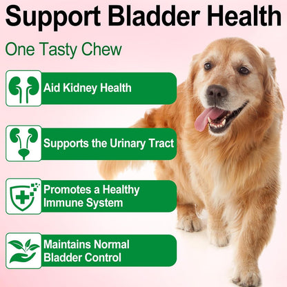 Urinary Tract Supplement for Dogs with Cranberry - 60 ml