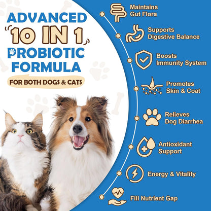 ZEBORA Probiotics for Dogs - Probiotic Powder with Pumpkin, Prebiotics & Enzymes, 6 Billion CFUs, Chicken Flavour (90 Scoops) – Image 7