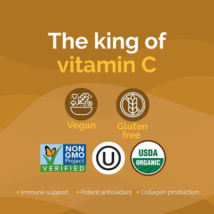 Camu Camu Powder, Natural Vitamin C by Zint: Raw Organic Antioxidant Superfood - Immune Support & Anti-Ageing - Non-GM, Super Vitamin C Berry (100 g)