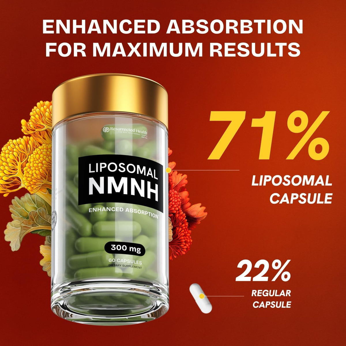 Liposomal NMNH Supplement 300mg – NAD+ – Those who prefer a non-stimulant energy support option – Image 4
