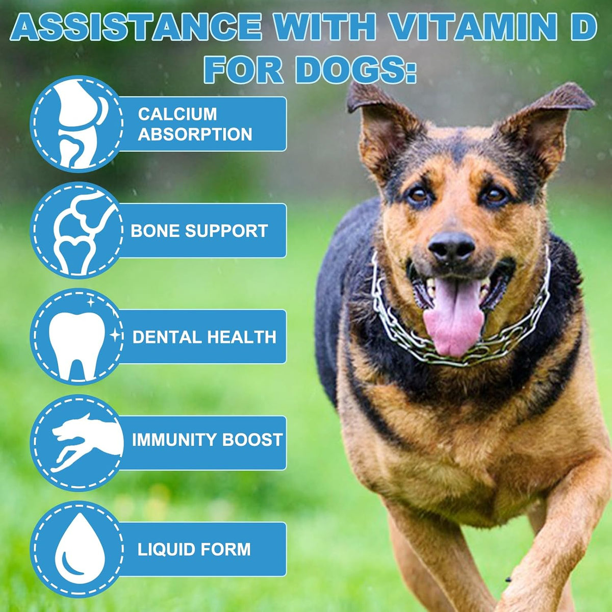 Vitamin D for Dogs, Liquid Vitamin D for – Promotes Calcium Absorption: Vitamin D helps your dog absorb calcium – Image 6