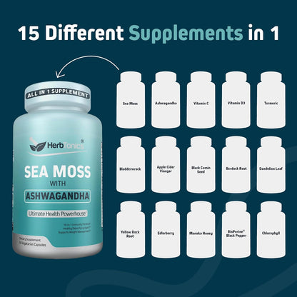 Herbtonics Sea Moss, Black Cumin Seed, Ashwagandha, Burdock Root & ACV Complex - 60 Capsules