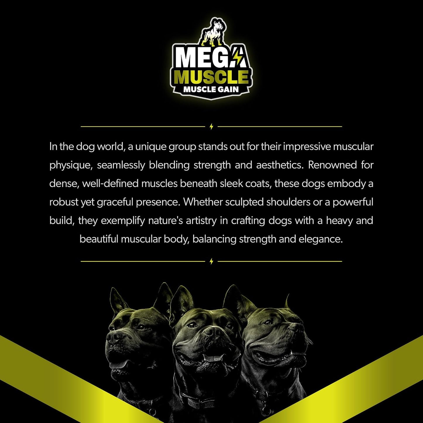 PETBEING Mega Muscle for Dogs - Daily Chewable Multivitamin Tablets, Chicken Flavour, 60 Count - görsel 8