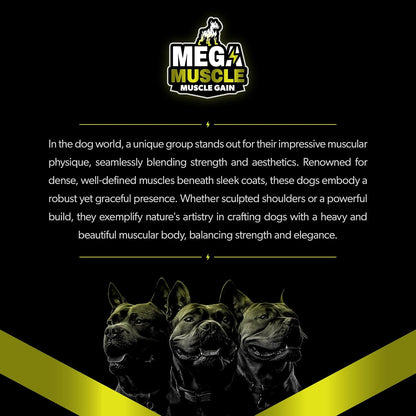 PETBEING Mega Muscle for Dogs - Daily Chewable Multivitamin Tablets, Chicken Flavour, 60 Count