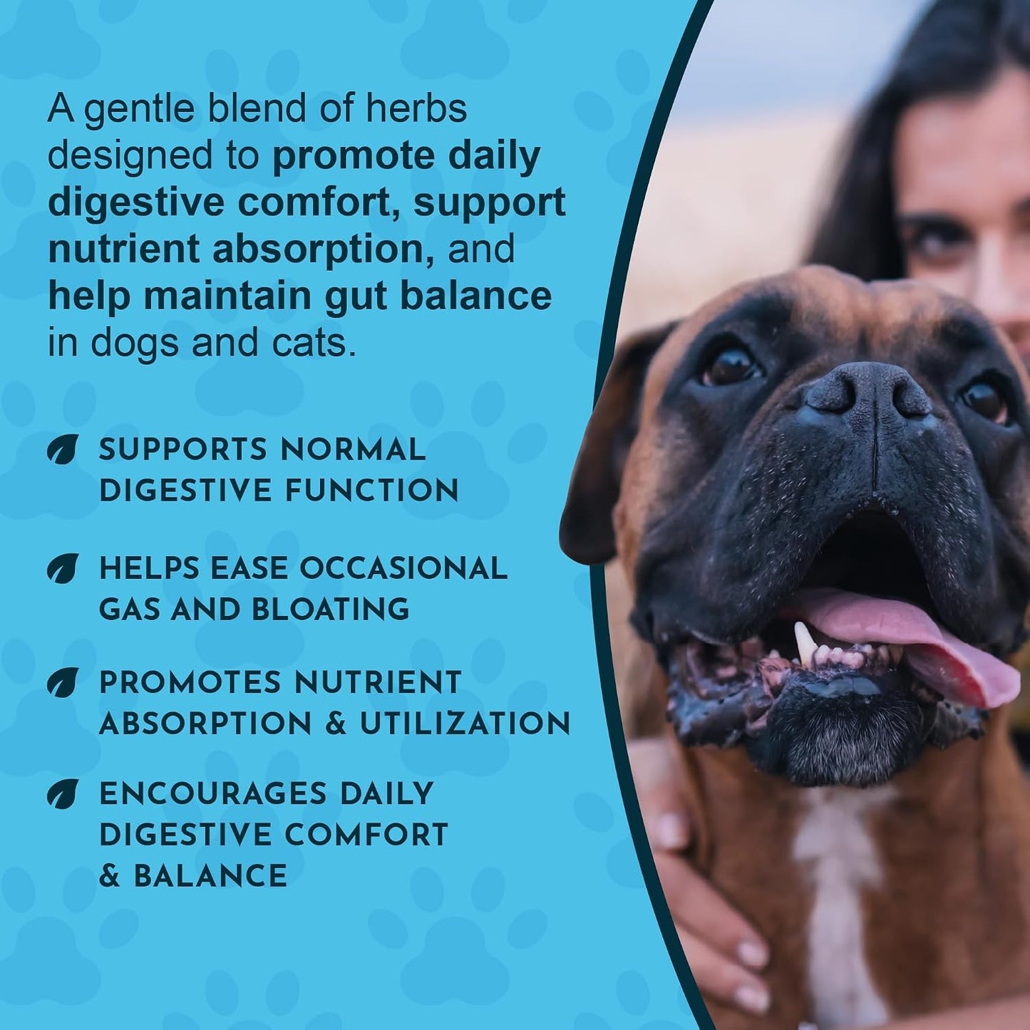 Animal Essentials Fresh Breath & Daily Digestion Supplement for Dogs & Cats, 60 mL - Organic Ginger & Mint, Alcohol Free - görsel 6