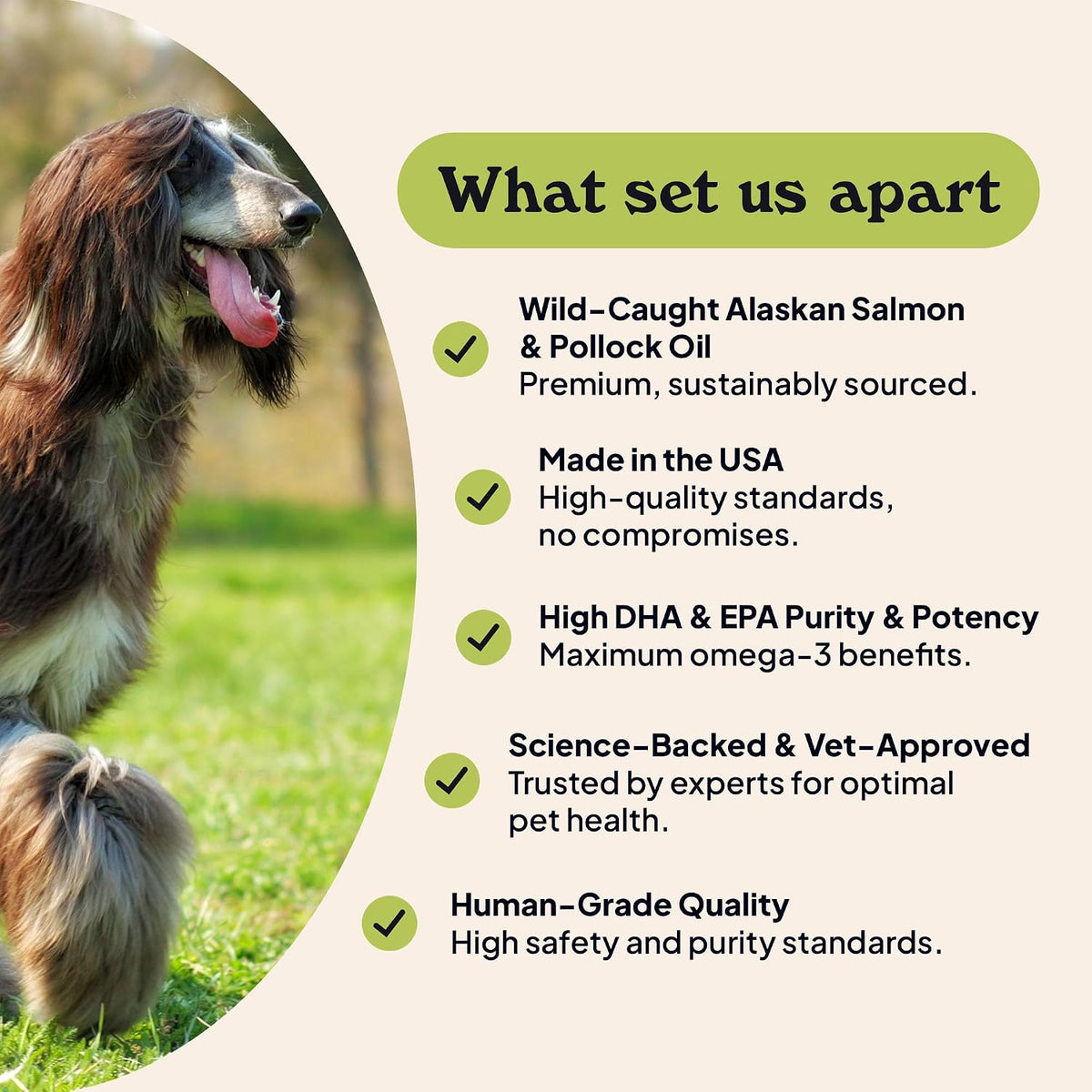 Barsk Wild Alaskan Fish Oil for Dogs & Cats – Heart and Immune Support: Regular intake of omega-3s may contribute – Image 3